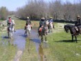 /album/fotogaleria-imagenes/ruta-a-caballo-lptravel-jpg/